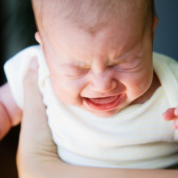 The Hunger Games - The Stork's Nest - Nicole Anderson