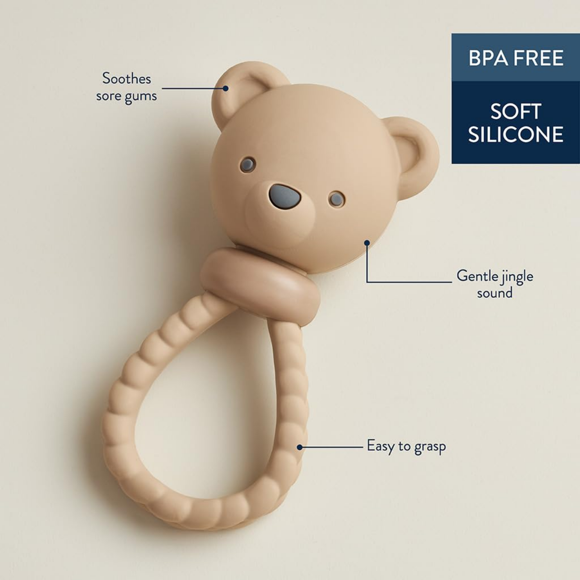 Beary Cute Box - 4 Designs