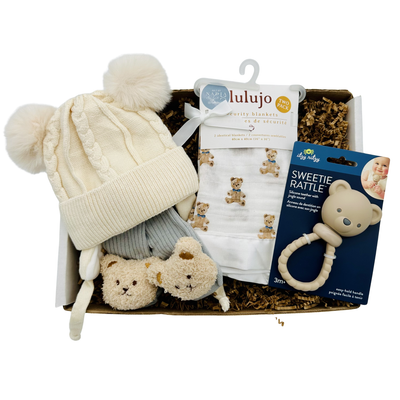 Beary Cute Box - 4 Designs