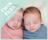 2 Peas in a Pod - Twin Peas Subscription - Quarterly Pay